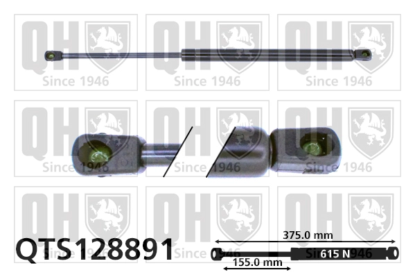 QTS128891