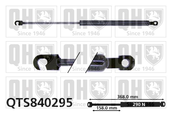 QTS840295