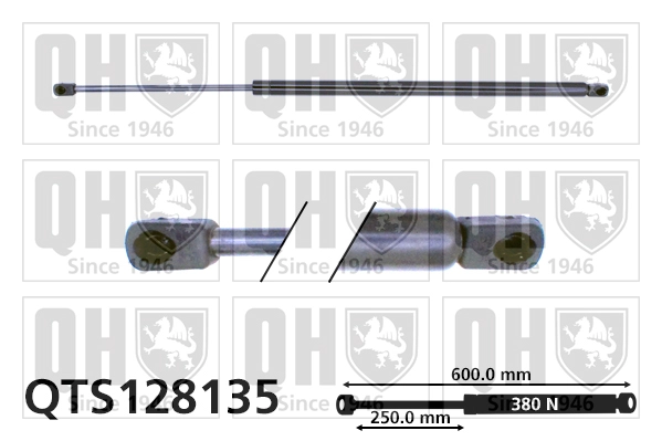 QTS128135