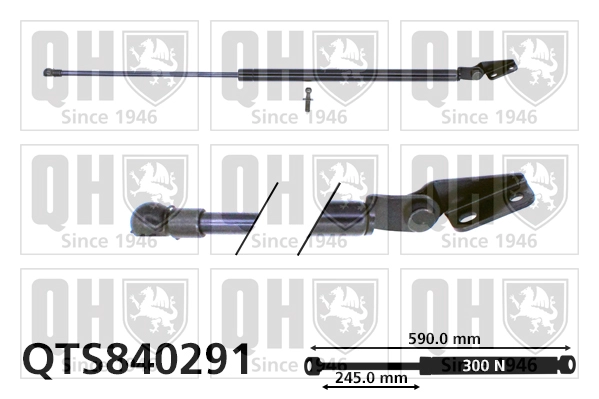 QTS840291