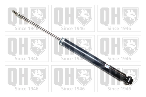 QAG179718