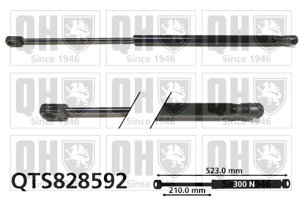 QTS828592