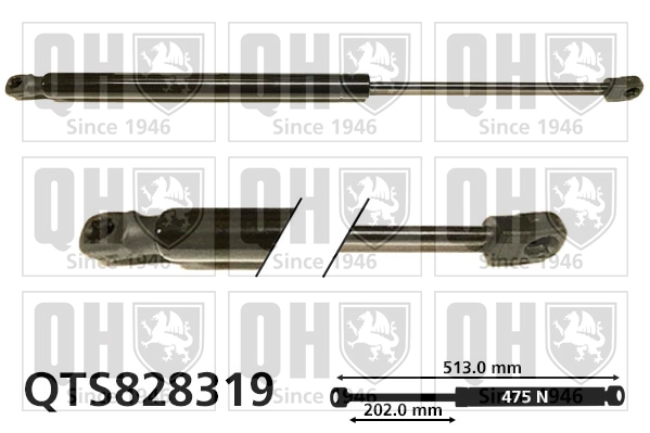 QTS828319