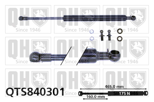 QTS840301