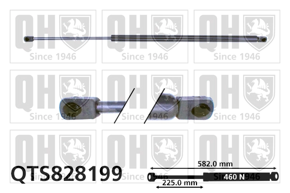 QTS828199