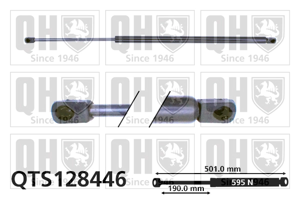 QTS128446