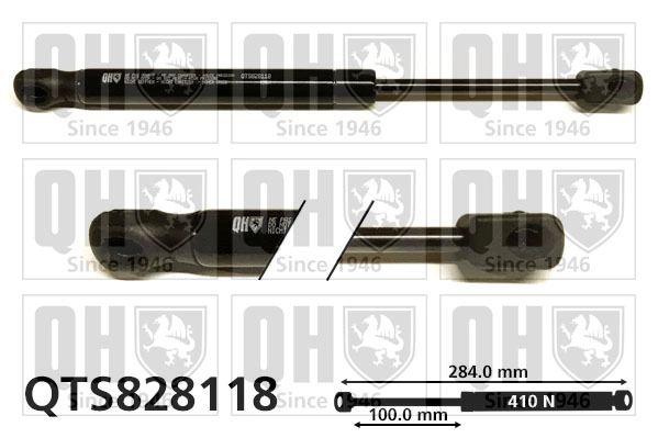 QTS828118
