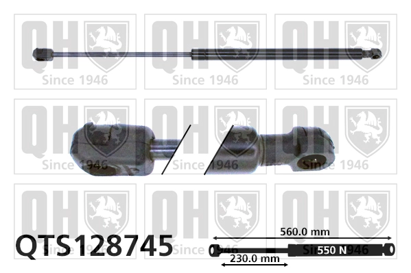 QTS128745