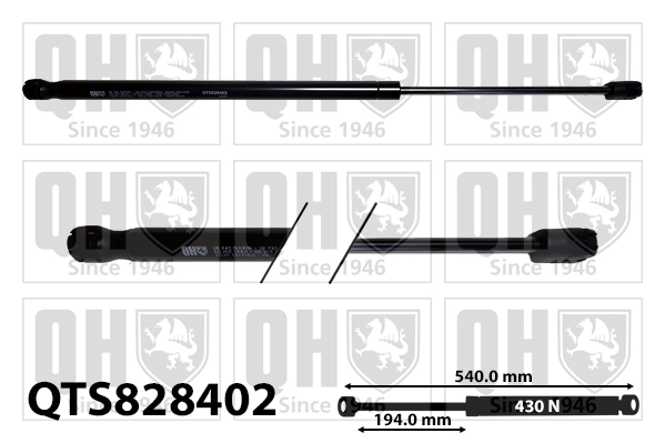 QTS828402