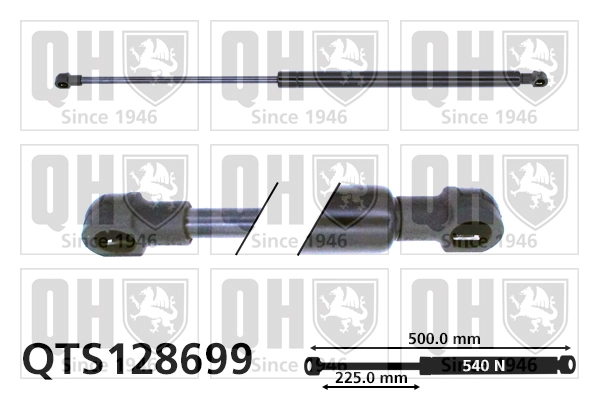 QTS128699