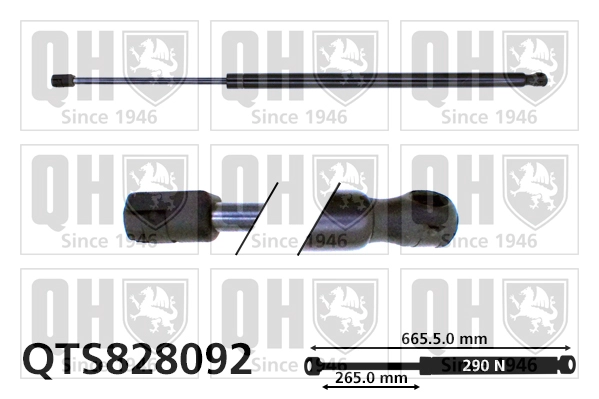 QTS828092