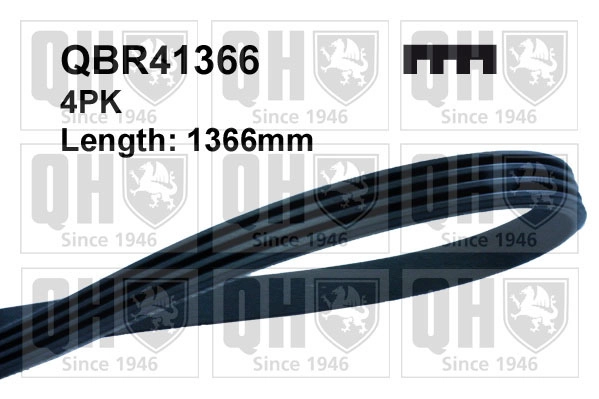 QBR41366
