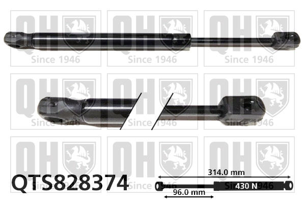 QTS828374