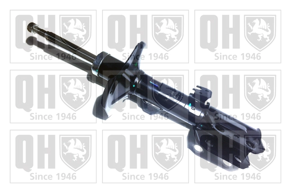 QAG181317