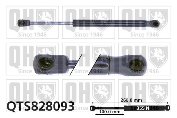 QTS828093
