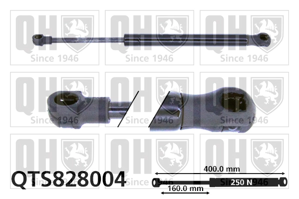 QTS828004