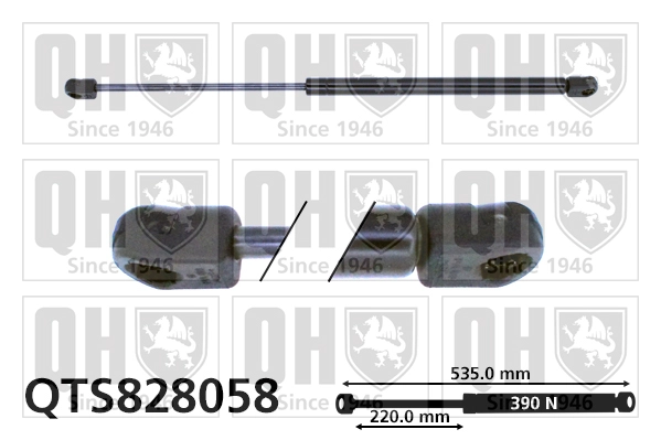 QTS828058