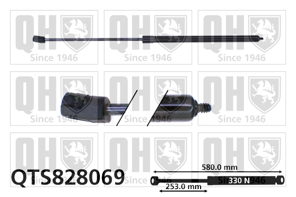 QTS828069