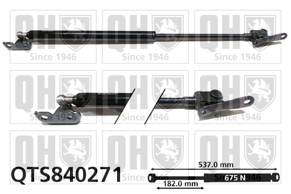 QTS840271