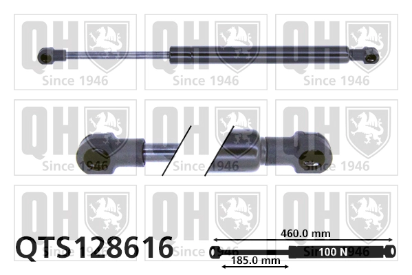 QTS128616