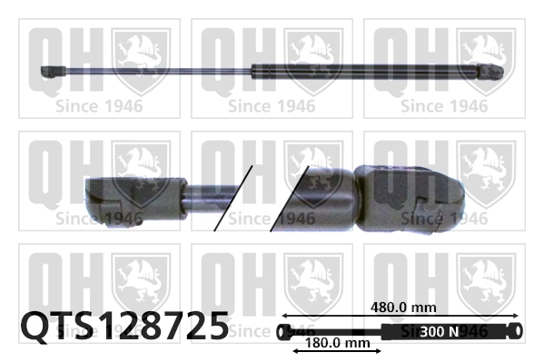 QTS128725