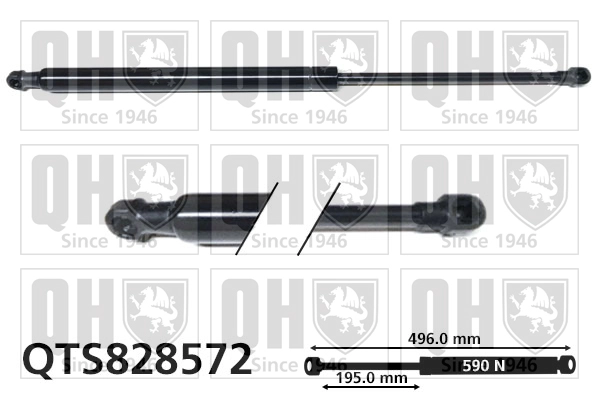 QTS828572