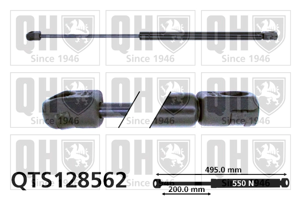 QTS128562