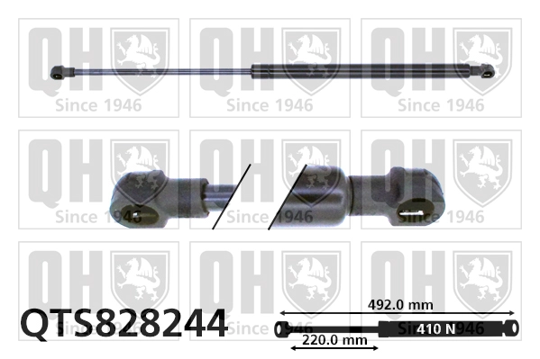 QTS828244