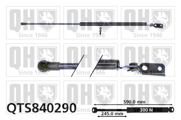 QTS840290