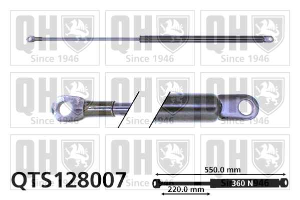 QTS128007