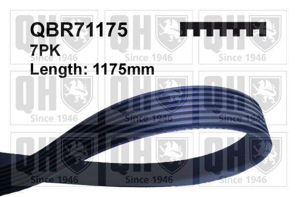 QBR71175