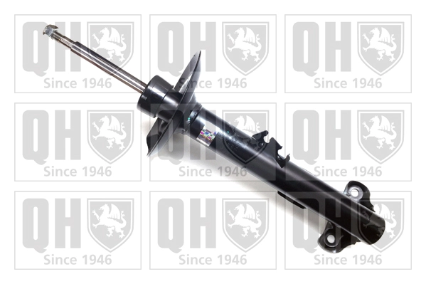 QAG178996