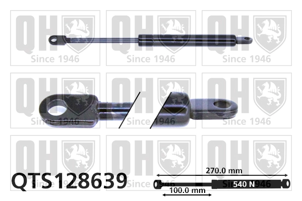 QTS128639