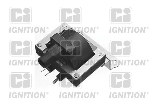 XIC8066