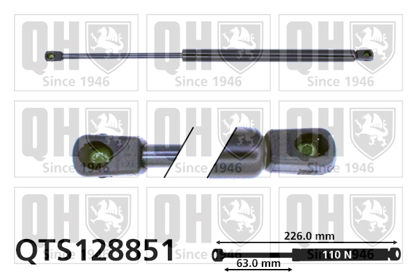 QTS128851