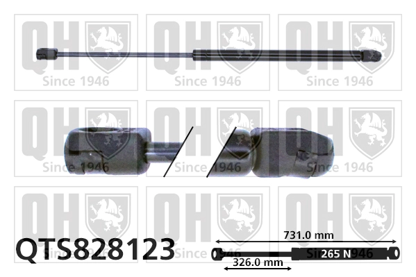 QTS828123