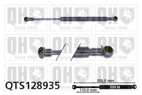 QTS128935