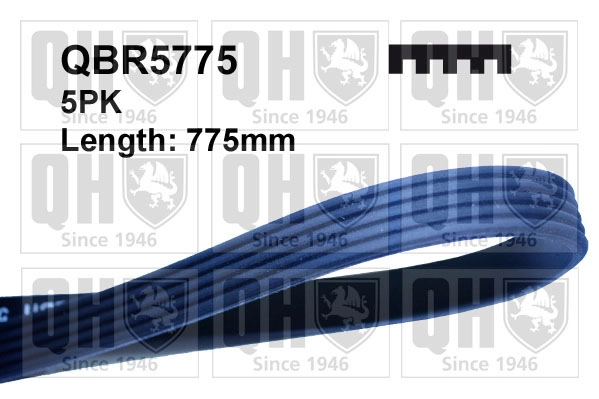 QBR5775