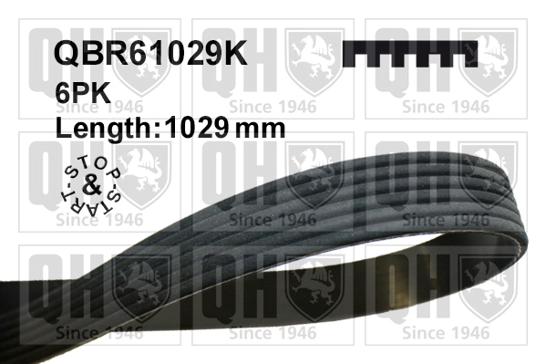 QBR61029K