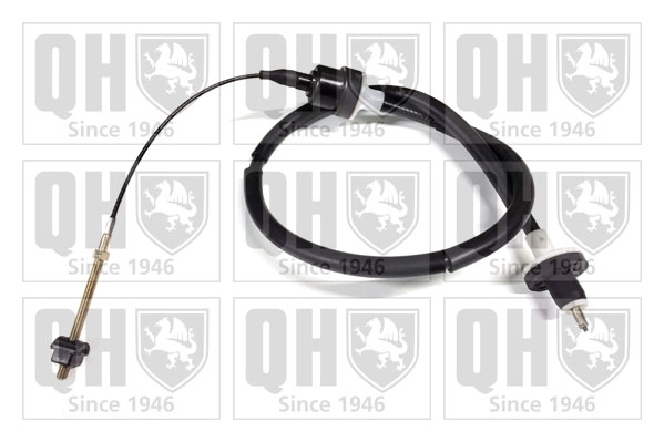 QCC1819