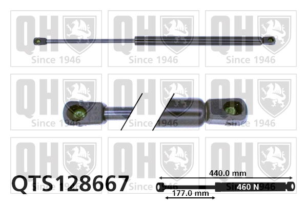 QTS128667