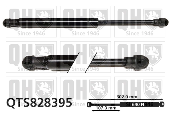 QTS828395