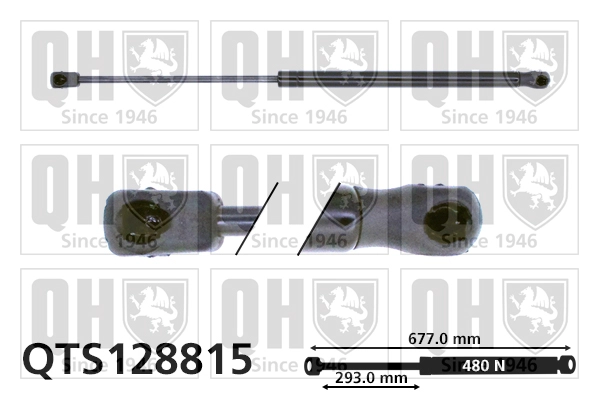 QTS128815