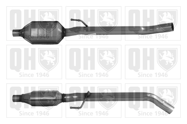 QCAT80193