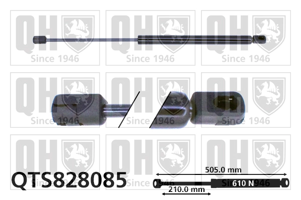 QTS828085