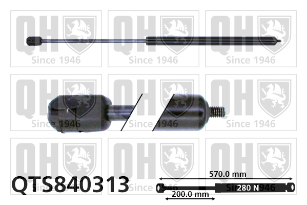 QTS840313