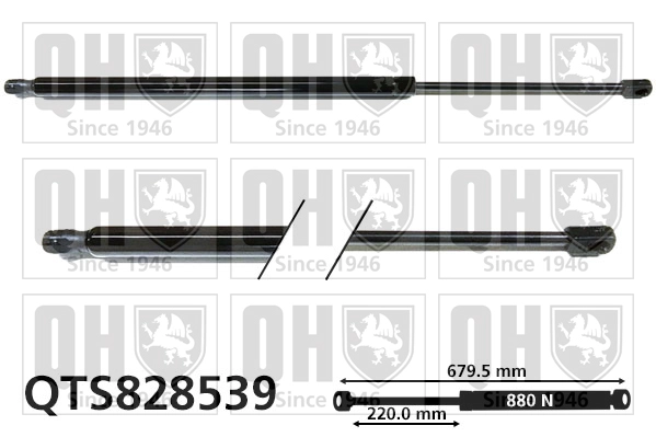 QTS828539