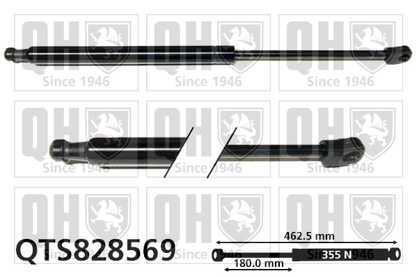 QTS828569