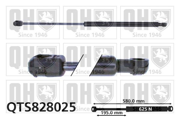 QTS828025