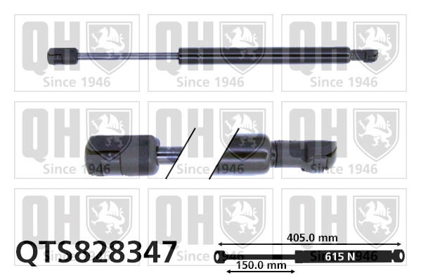 QTS828347